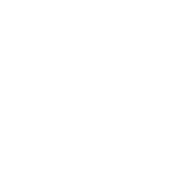 100% SECURE PAYMENTS